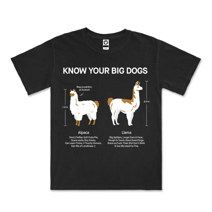 Alpaca Tee (Black)